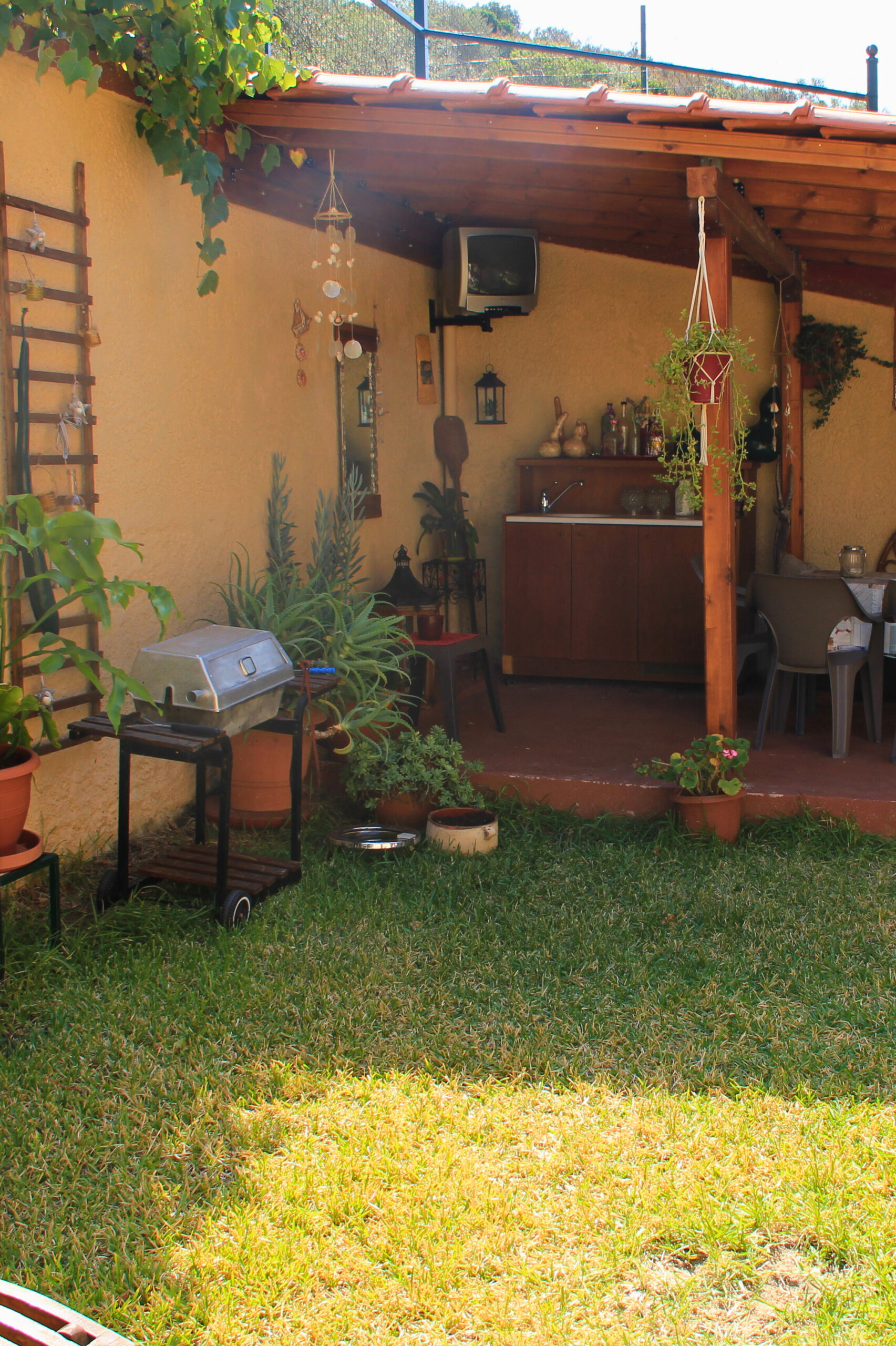 Back yard & BBQ