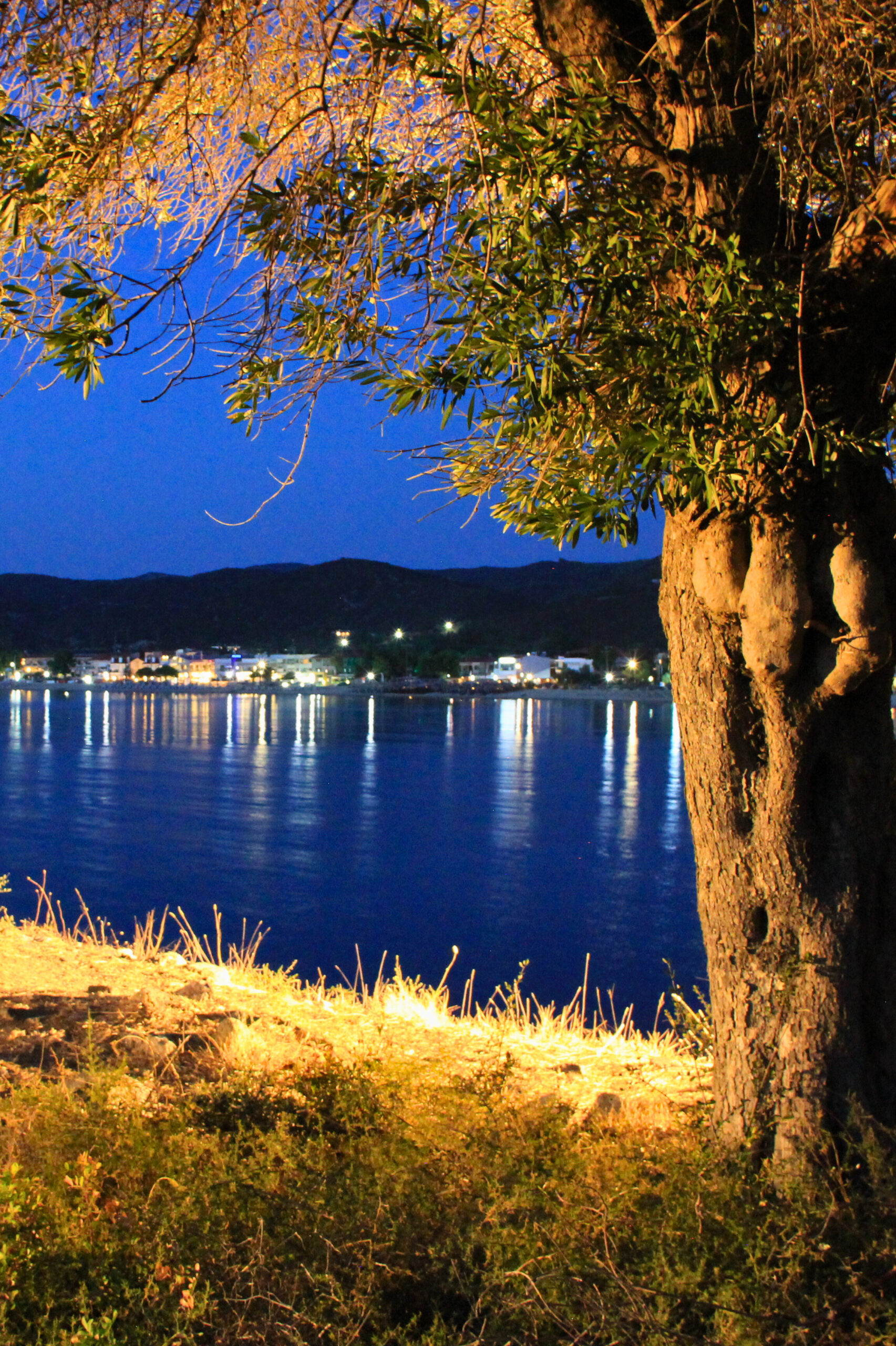 Evening by the sea